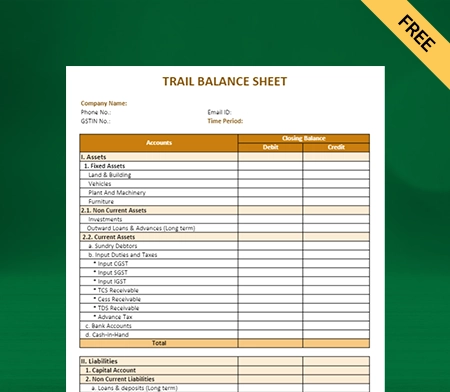 Download Professional Trial Balance Sheet Format in Excel