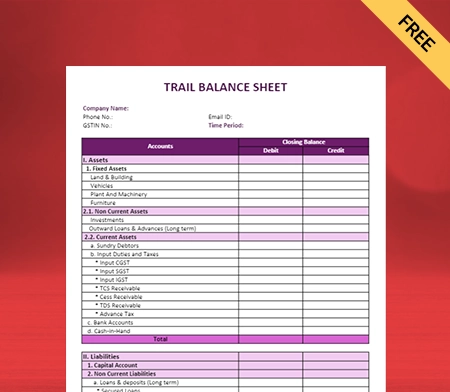 Download Free Trial Balance Sheet Format in Pdf