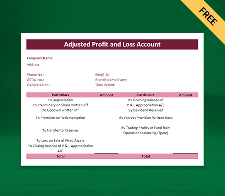 Download Professional Profit And Loss Adjustment Account Format in Excel