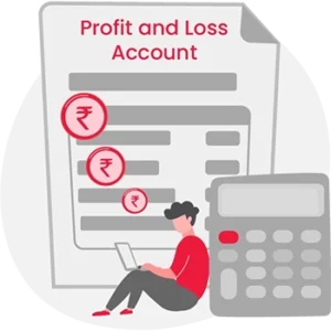 Profit And Loss Account Format