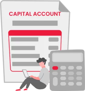 Features Of A Capital Account Format Software