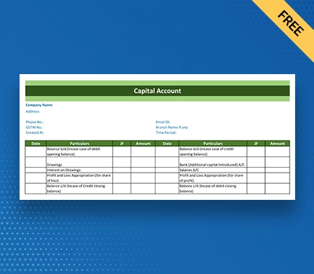 Download Professional Capital Account Format in Word