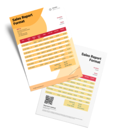 Sales Report Format Free Download