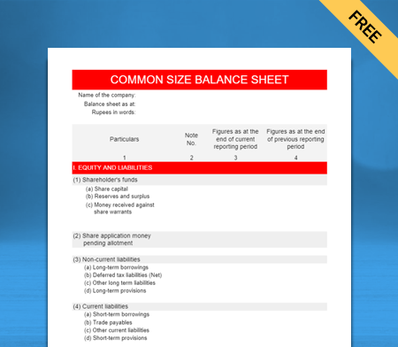 Common Size Balance sheet Formats