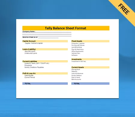 Tally Balance Sheet Format