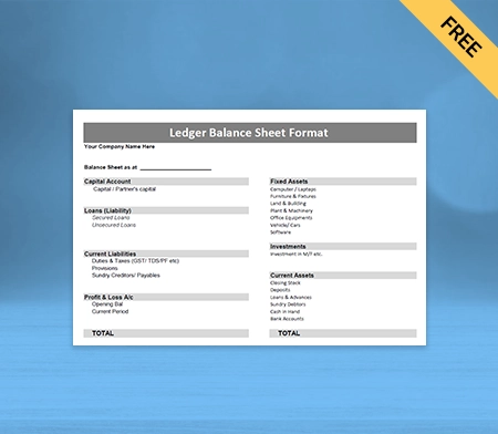 Ledger Balance Sheet Format Type IV