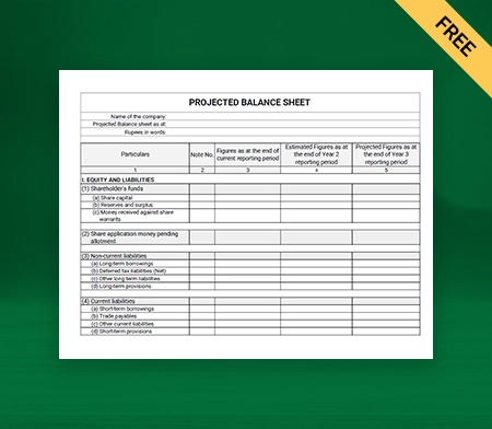 Projected Balance Sheet Format Type I