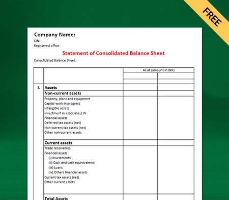Consolidated Balance Sheet Format Type I