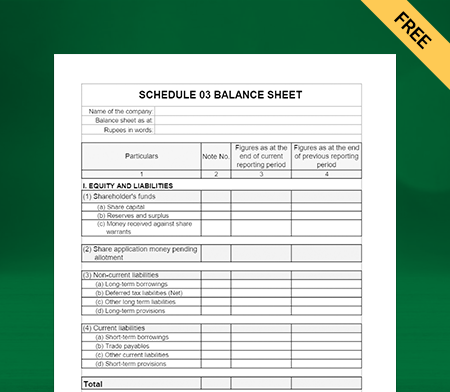 Schedule III Balance Sheet Format Type I