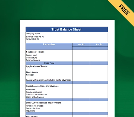 Trust Balance Sheet Format Type II