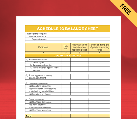 Schedule III Balance Sheet Format Type III
