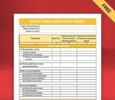 Assets and Liabilities Format Type III