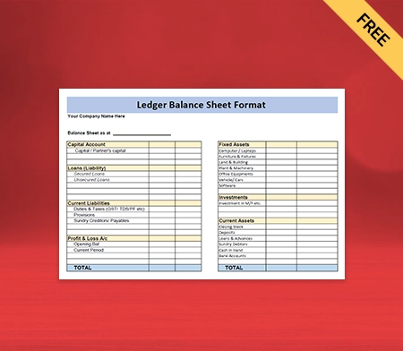 Ledger Balance Sheet Format Type III