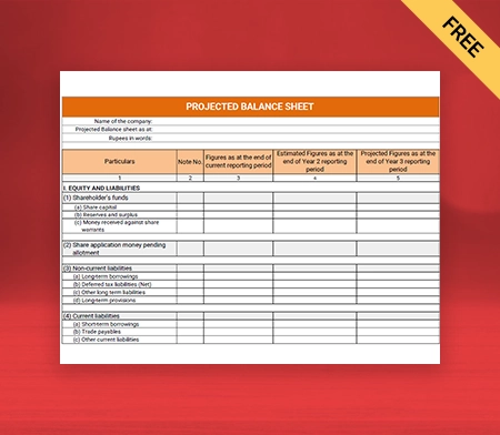 Projected Balance Sheet Format Type III