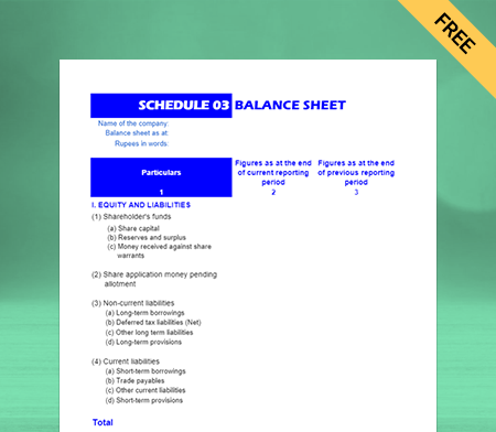 Schedule III Balance Sheet Format Type IV