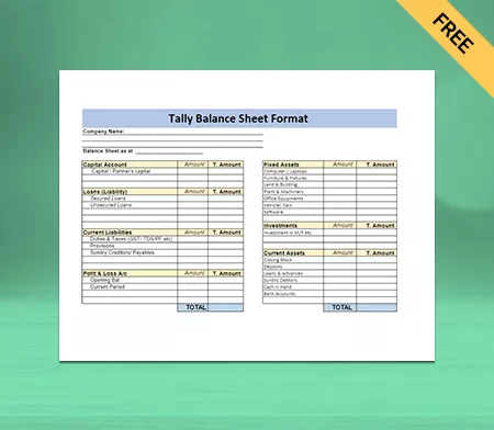 Download Tally Balance Sheet Format Type IV