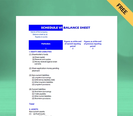 Download Schedule 6 Balance Sheet Format Type IV