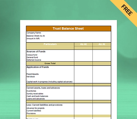 Trust Balance Sheet Format Type IV
