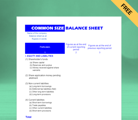 Download  Common Size Balance Sheet Type 4