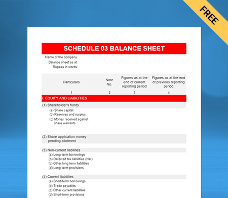 Schedule III Balance Sheet Format Type II