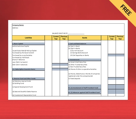 PDF Cooperative Society Balance Sheet Format