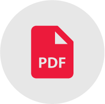 PDF Invoice Format Online: