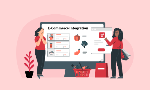 Integrate into your ecommerce via Vyapar