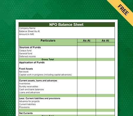 NPO Balance Sheet Format Type I