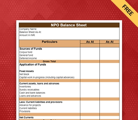 NPO Balance Sheet Format Type III