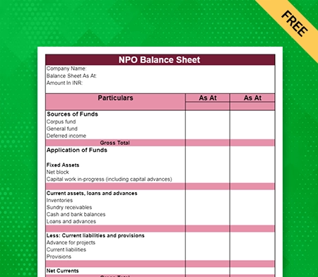 NPO Balance Sheet Format Type IV