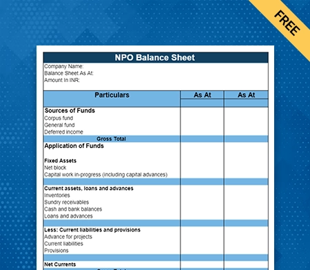 NPO Balance Sheet Format Type II