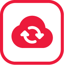 Storage and security icon