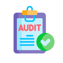 Audit Support