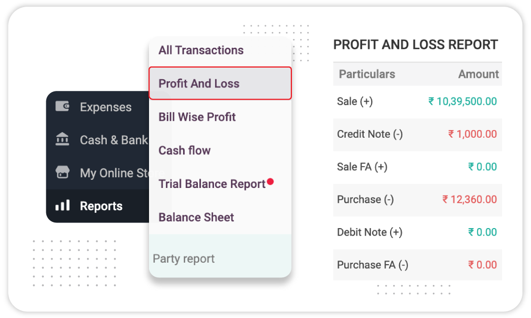 Detailed Profit and Loss Statement - Computerized Accounting Software