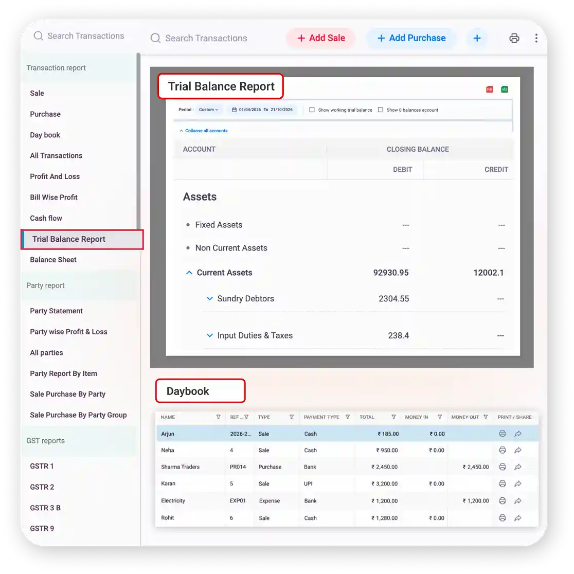 trial balance and day book in accounting software